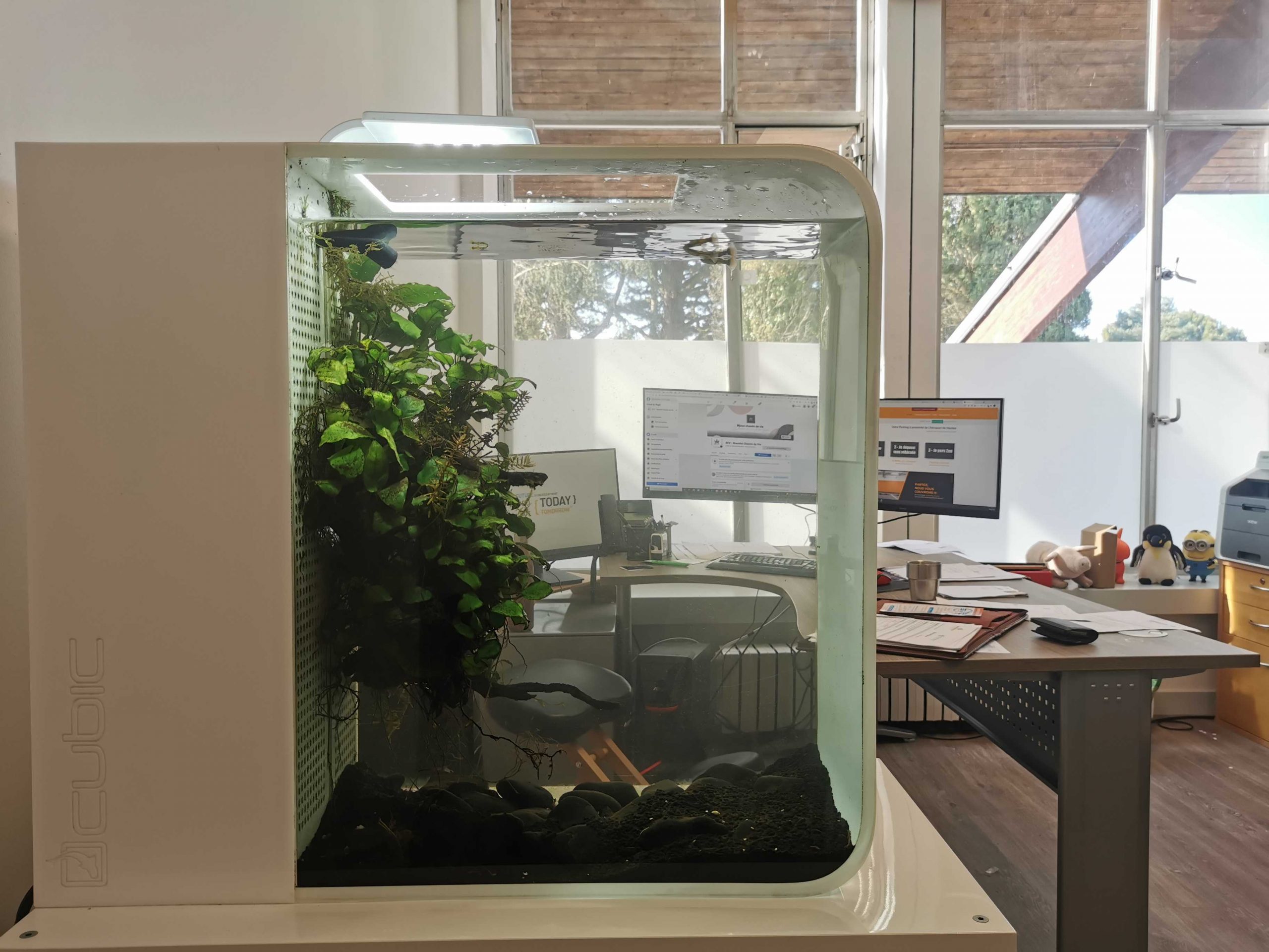 Aquarium Aquarium, bureau