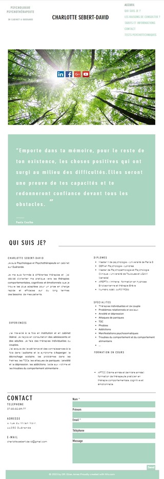 Refonte site web - avant Page Internet ancienne version